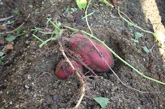 2012_1024_155748AA.JPG
