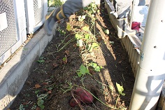 2012_1024_155801AA.JPG