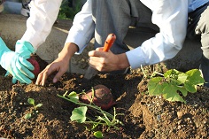 2012_1024_161011AA.JPG