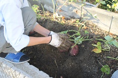 2012_1024_161442AA.JPG