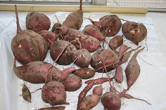 2012_1024_170504AA.JPG