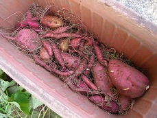 2012_1107_161403AA.JPG