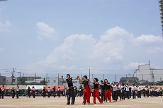 DSC00795.JPG