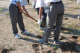 IMG_5965.JPG