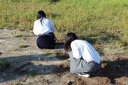 IMG_5989.JPG