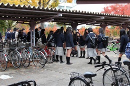 IMG_7338.JPG