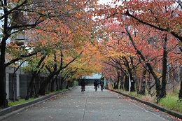 IMG_7348.JPG