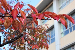 IMG_7407.JPG