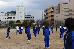 IMG_8247.JPG