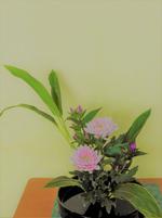 ８月華道３.jpg