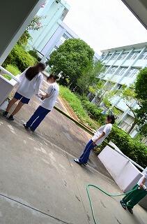 5e78ef5c-35f1-436a-a113-31c6c4e3a49c.jpg