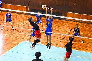 db8e919b-fc82-4b1f-b606-fe80ea4a5e5b.jpg