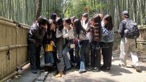 IMG_82323n3nenn2.JPG