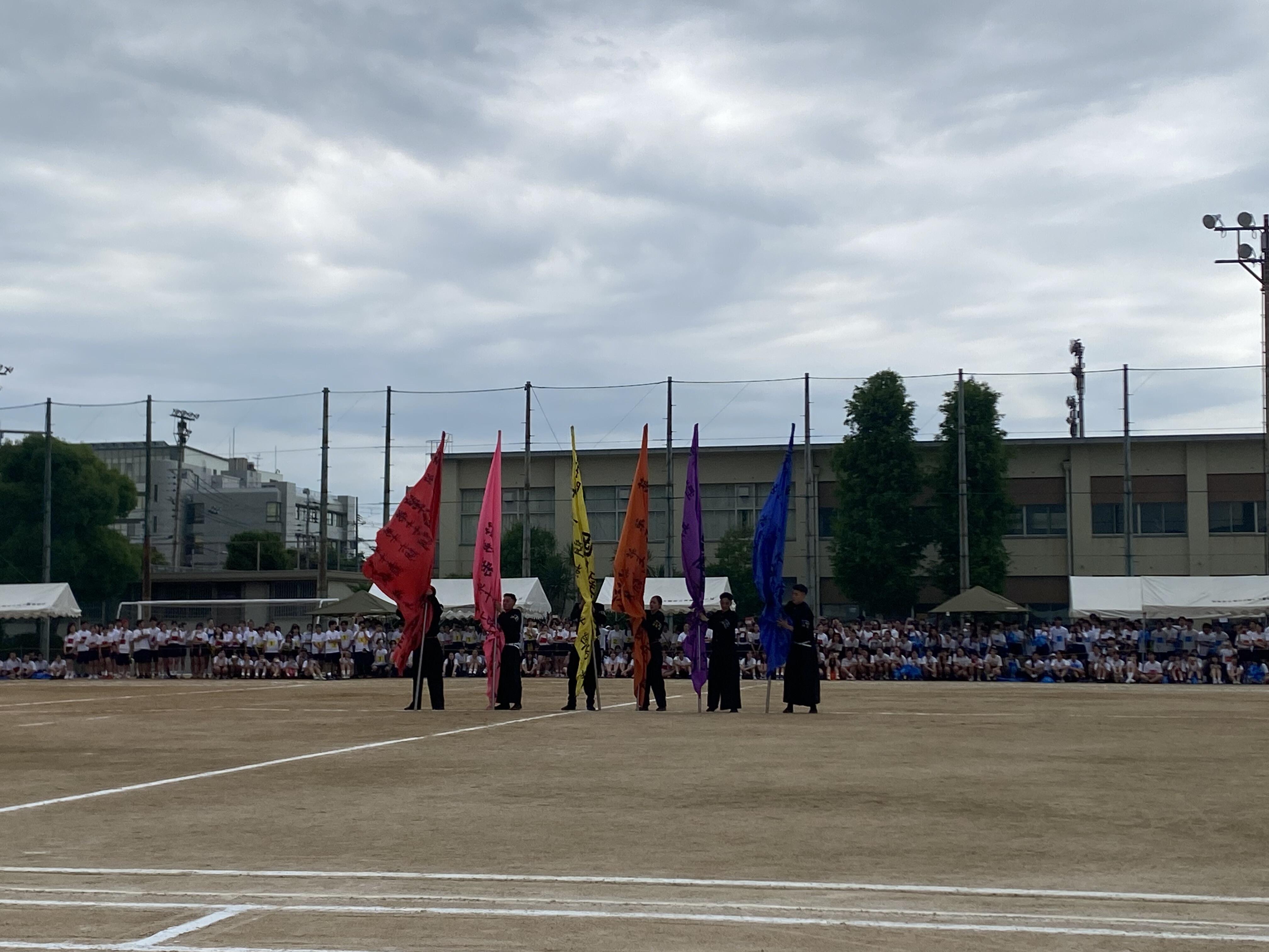 IMG_8527.jpg