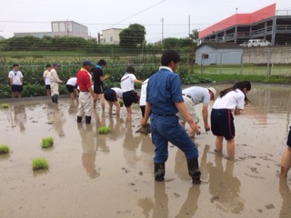 田植え２.JPG