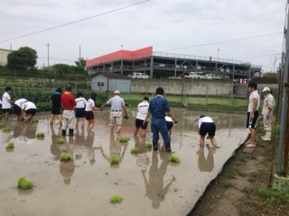 田植え５.JPG