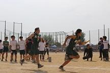 15.jpg