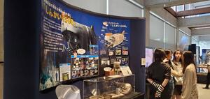 IMG_2429.jpeg