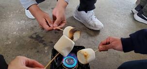 IMG_2823 (2).jpeg