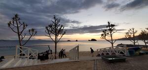 IMG_2406.jpeg