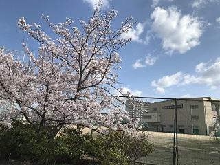 IMG_6471.JPG