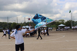 IMG_8855.JPG