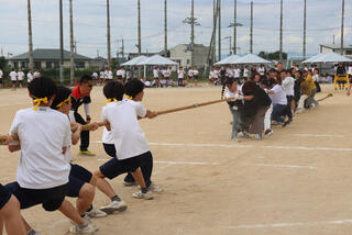 IMG_9500.JPG