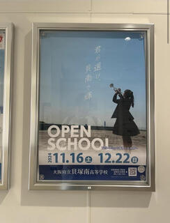 IMG_2817.jpeg