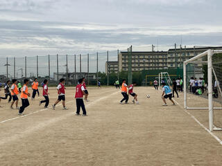 IMG_3186.jpeg
