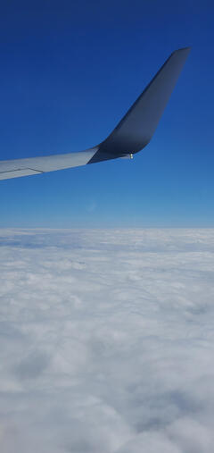 20250123_114723.jpg