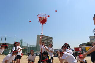 IMG_8693.JPG
