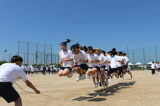 IMG_8699.JPG