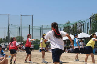 IMG_8761.JPG
