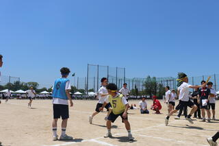 IMG_8779.JPG