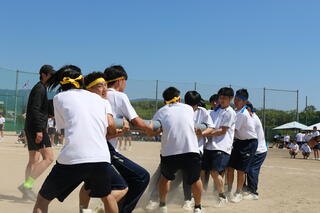 IMG_8883.JPG