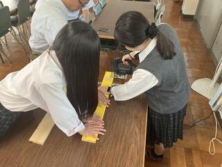 IMG_0778.jpeg