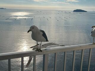 IMG_1069.jpeg