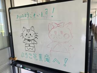 IMG_1774.jpeg