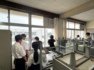 IMG_2277.jpeg