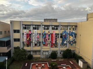 IMG_2283.jpeg