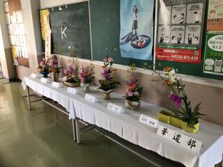 IMG_0340.jpeg