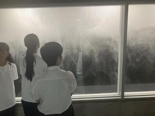 2026年7月12日（12_32）(4).jpg