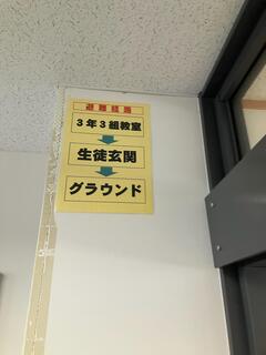 IMG_7261.jpg