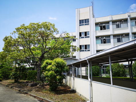 hiru03.jpg