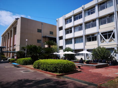 hiru06.jpg
