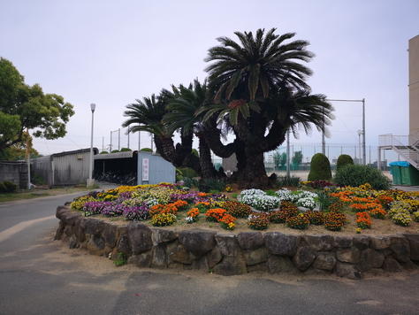 hiru07.jpg