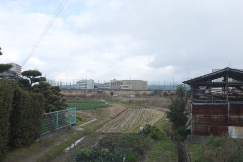 20150131-5.jpg