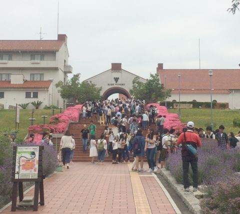 20150529 1年03.jpg