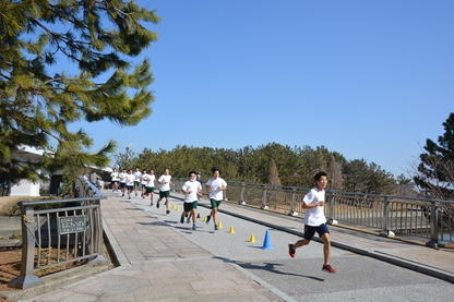 run003.jpg
