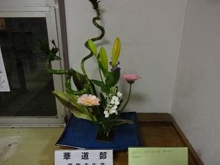 DSC00003.jpg